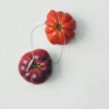 Alba zilveren vis-hanger ketting